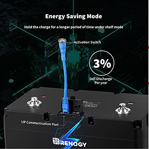 Renogy 12V 100Ah LiFePO4 Deep Cycle Lithium Battery, over 4000 Cycles, Built-in BMS, Backup Power for RV, Marine, Off-Grid System, Maintenance-Free