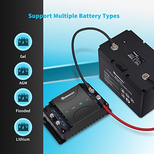 Renogy 12V 30A DC On-Board Input MPPT Battery Charger for Gel, AGM, and Lithium Batteries, Using Multi-Stage Charging, in RVs, Cars, Boats, Yachts, Recommended to Match with 40A ANL Fuse